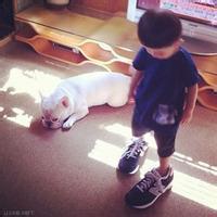 微信头像男生呆萌