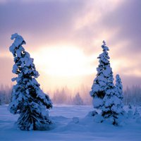 微信头像雪景 唯美雪景