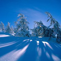 微信头像雪景 唯美雪景