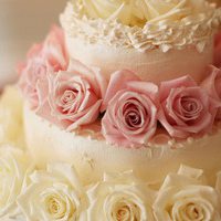 可口美味的蛋糕头像图片