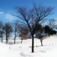 微信头像雪景 唯美雪景