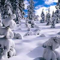 微信头像雪景 唯美雪景