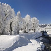 微信头像雪景 唯美雪景