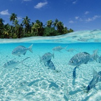 蓝色海水头像