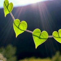 小物品唯美清新头像图片