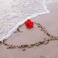 小物品唯美清新头像图片