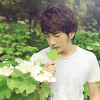 微信头像唯美小清新男生