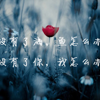 微信头像带字的风景