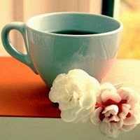 小物品唯美清新头像图片