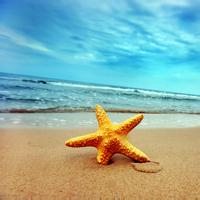 海星风景微信头像图片大全