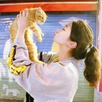 美女抱猫头像 抱猫少女