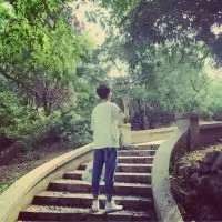 最新款的情侣背影头像一男一女