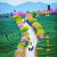 静谧风景头像 静谧的生活静谧的风景