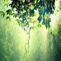 静谧风景头像 静谧的生活静谧的风景