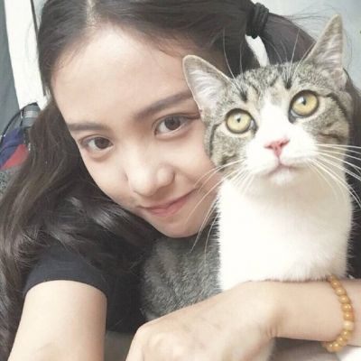 美女抱猫头像 抱猫少女