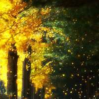 静谧风景头像 静谧的生活静谧的风景