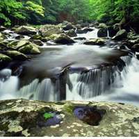 静谧风景头像 静谧的生活静谧的风景