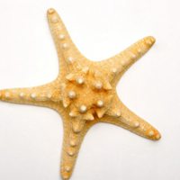 海星风景微信头像图片大全