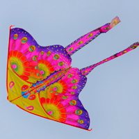 好看精美的风筝图片头像