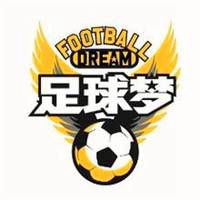 关于足球的头像图片