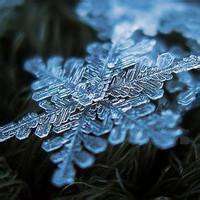 微信头像雪花_好看的雪花头像图片