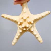 海星风景微信头像图片大全