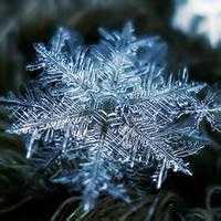 微信头像雪花_好看的雪花头像图片