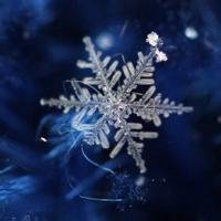微信头像雪花_好看的雪花头像图片