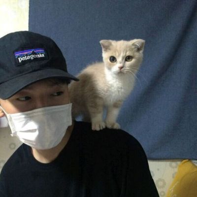 高清颓废男头像 瘦削颓废型男