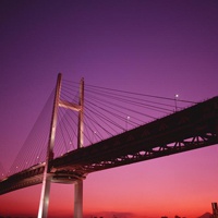 都市夜景头像 好看唯美的都市夜景