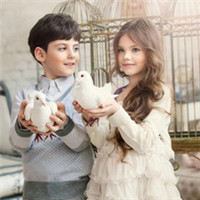 温馨又浪漫的小孩子情侣