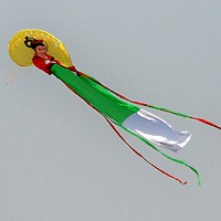 好看精美的风筝图片头像