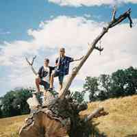 好看的有关兄弟的微信群头像