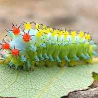 颜色丰富的色彩缤纷头像图片