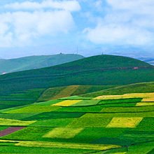 草原风景头像图片