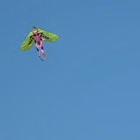 好看精美的风筝图片头像