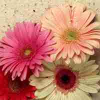 颜色丰富的色彩缤纷头像图片