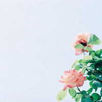 好看的清新淡雅微信头像