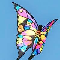 好看精美的风筝图片头像