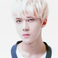 高人气偶像吴世勋魅力无限