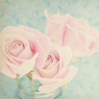 好看的清新淡雅微信头像