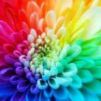 颜色丰富的色彩缤纷头像图片