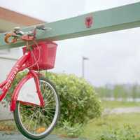 好看的清新淡雅微信头像