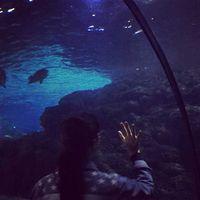 复古情侣头像一左一右_好看的复古情侣头像一对