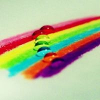 唯美彩虹色静物头像