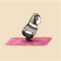 练瑜伽的可爱卡通小松鼠头像图片