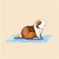 练瑜伽的可爱卡通小松鼠头像图片