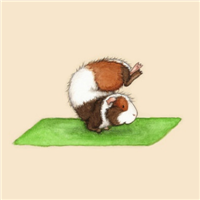 练瑜伽的可爱卡通小松鼠头像图片