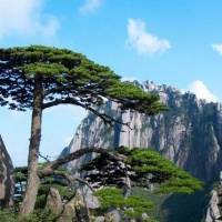 黄山风景头像照片