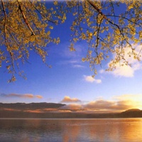 风景图片头像微信头像 唯美风景